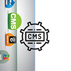 cms-icon